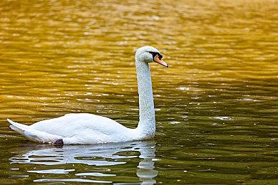 怀旧街机风冒险游戏《街机天堂》 将于8月11日发售